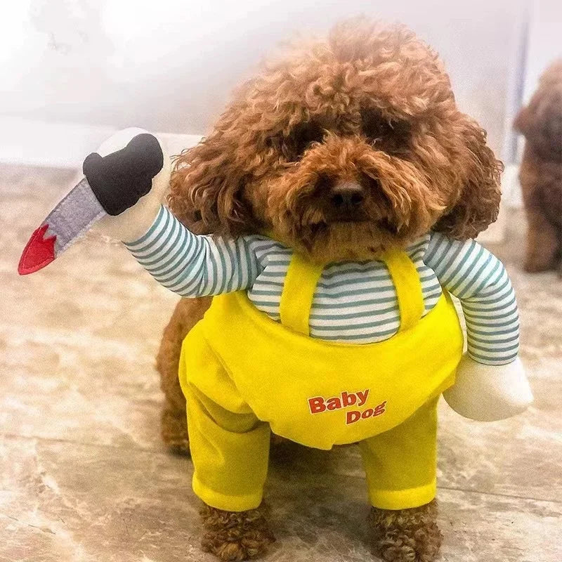 Halloween pet transformation clothes upright