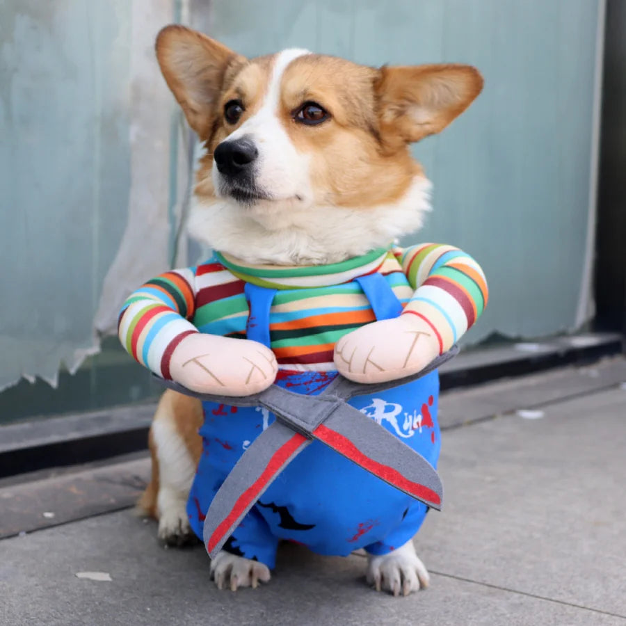 Halloween pet transformation clothes upright